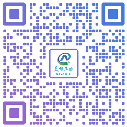 扫一扫关注我们