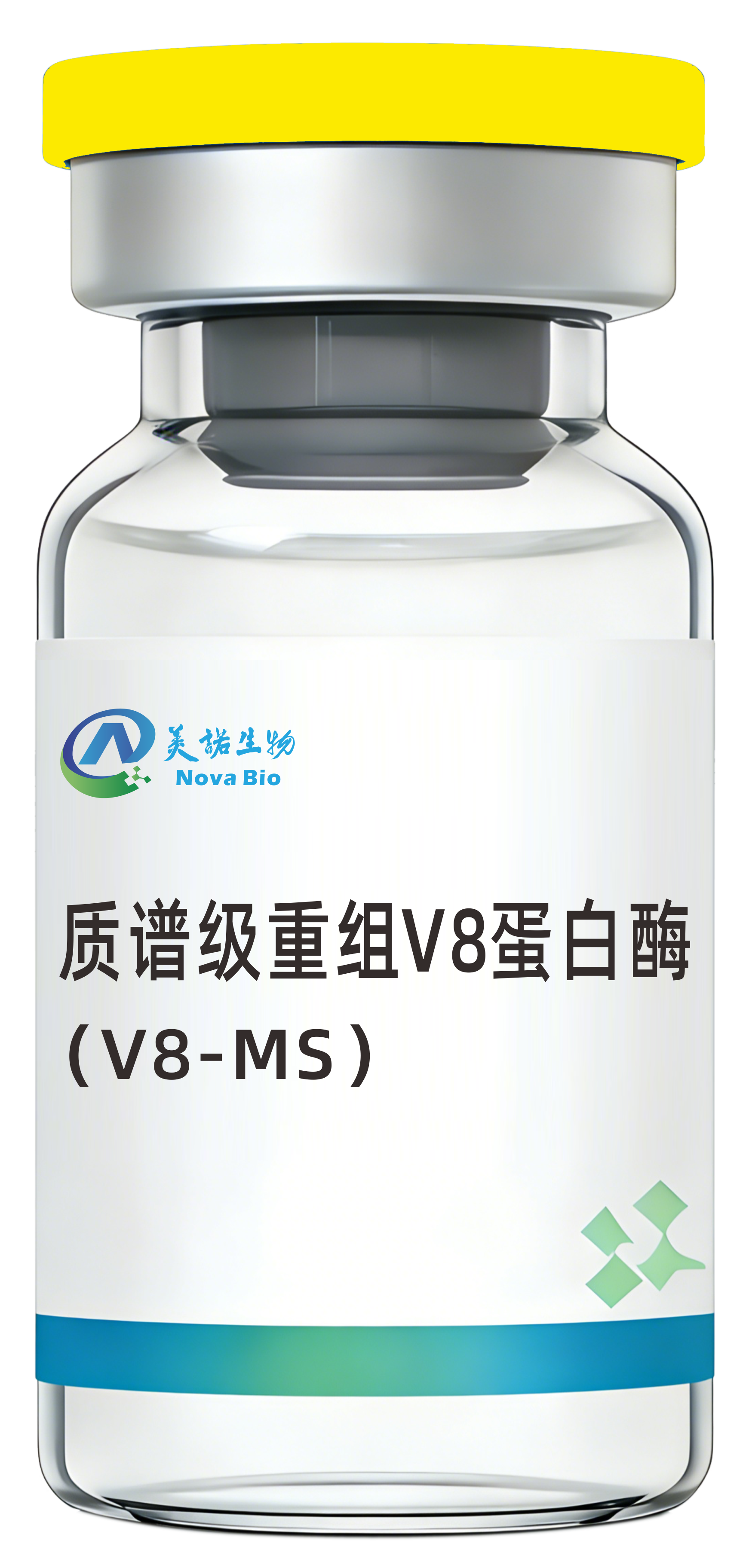 重组V8蛋白酶（质谱级）