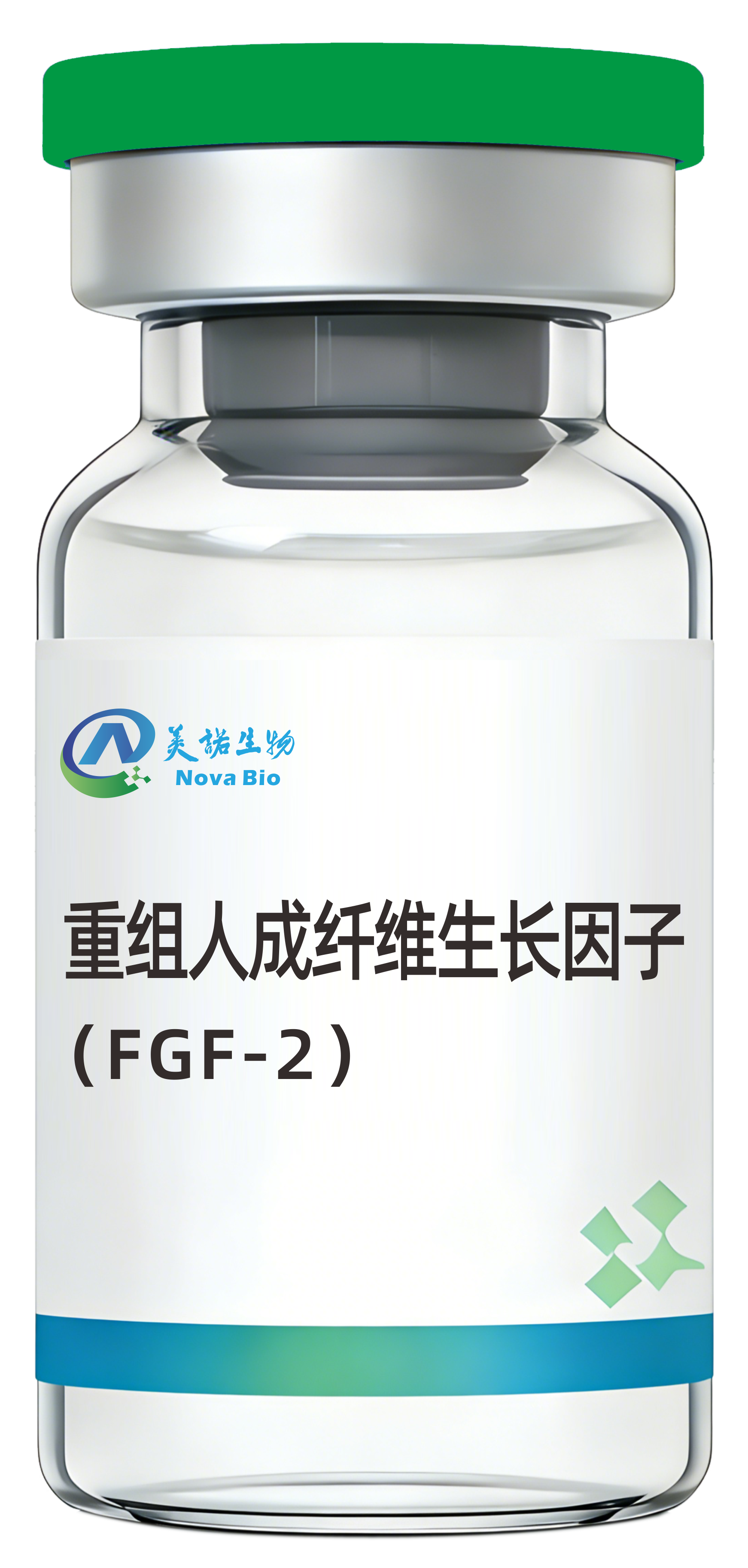 重组人成纤维生长因子（FGF-2）