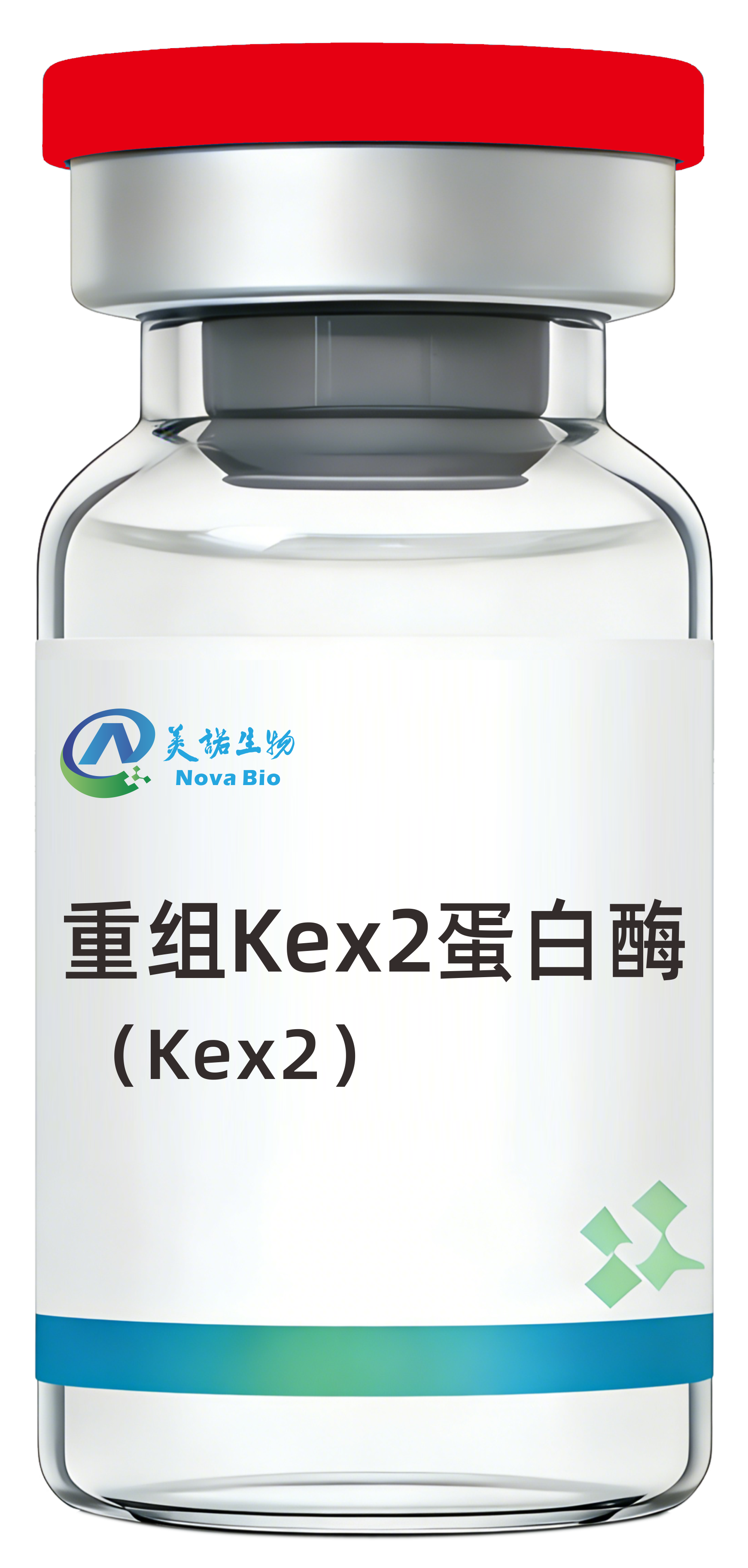 Kex2蛋白酶
