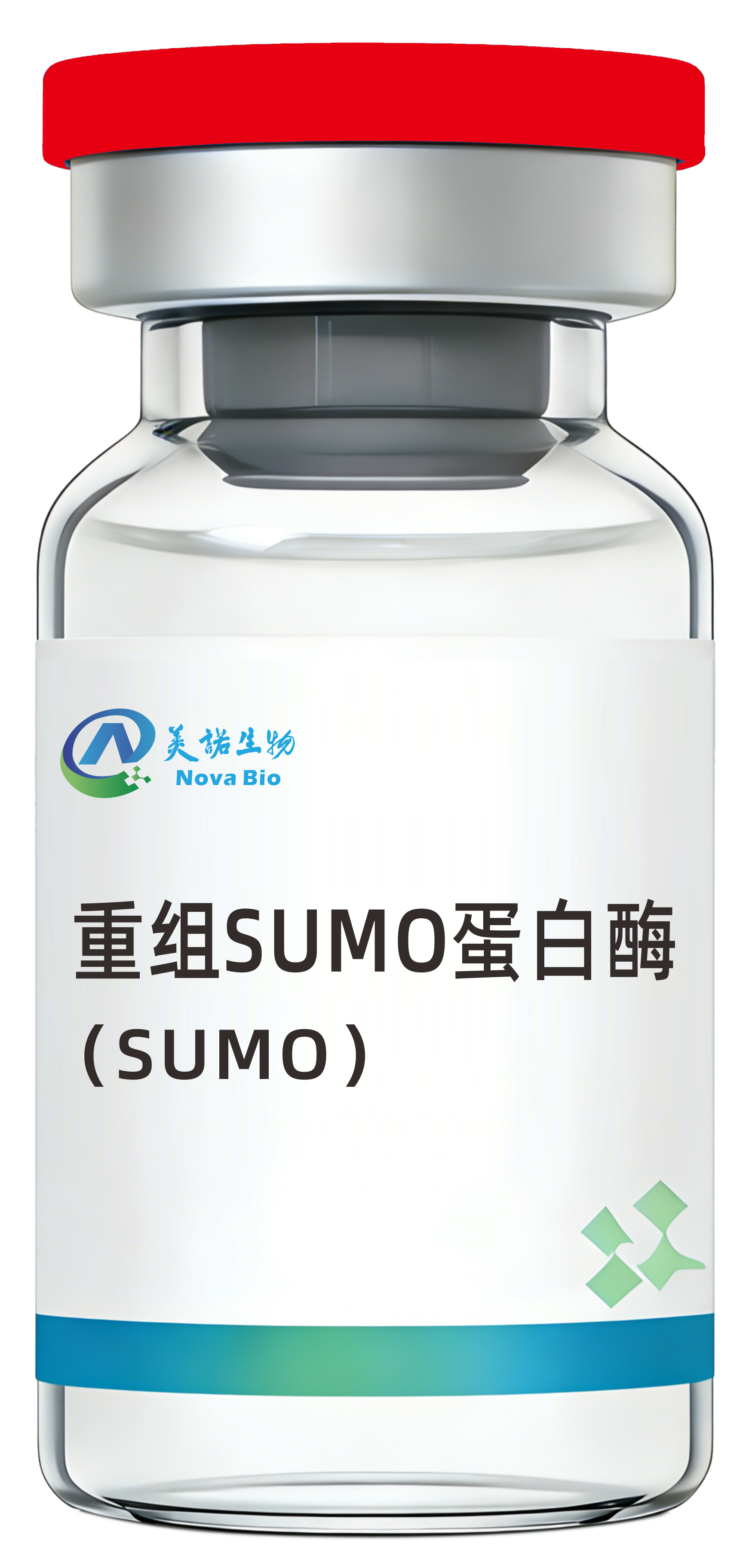 重组SUMO酶